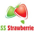 SSS Strawberries
